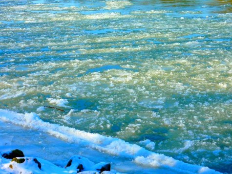 430601_10151283981275788_1041471392_n