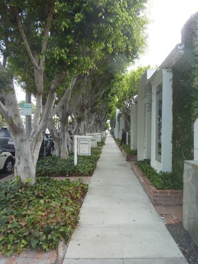 11986557_10156061842065788_7107583871725723955_n