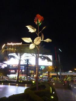 11999013_10156058980565788_7886697220967875141_n