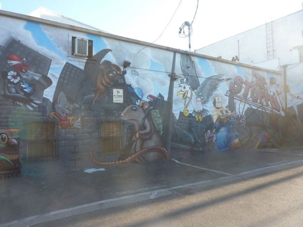 11999015_10156061858105788_7995064156848855545_n