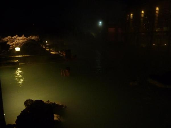 1937127_10156361580815788_5124271378632781460_n