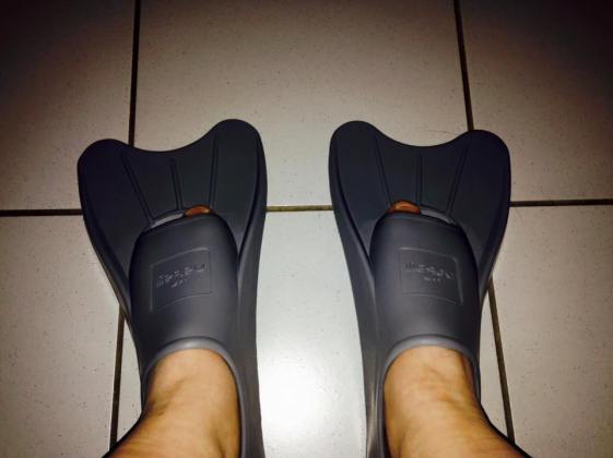 12803241_10156600062185788_2459092211688195787_n