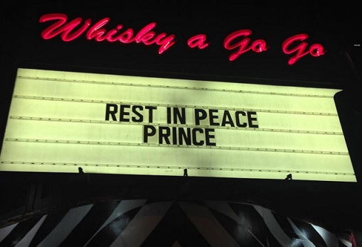 whiskeygogoprince
