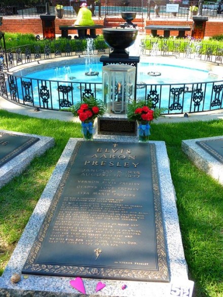 13315333_10156964328265788_5210986299404727667_n