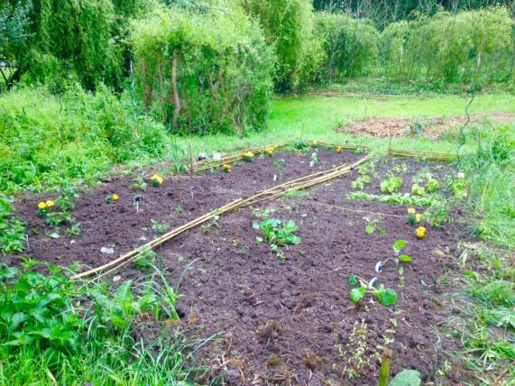 13343027_10156975095700788_6262790629202616296_n