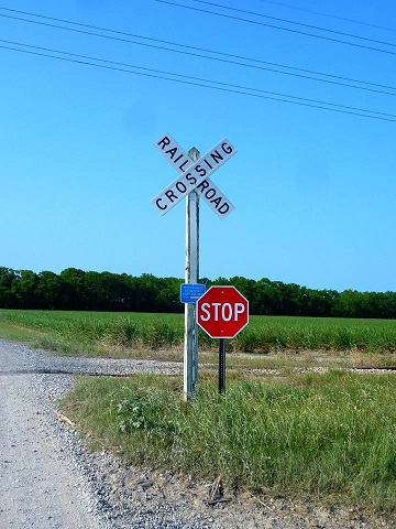 13686564_10157219899975788_2303178729608570399_n