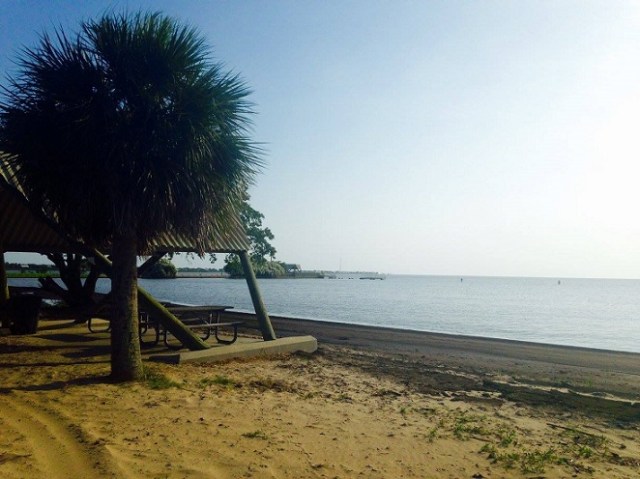 13717338_10157188789140788_1137522808604598103_o