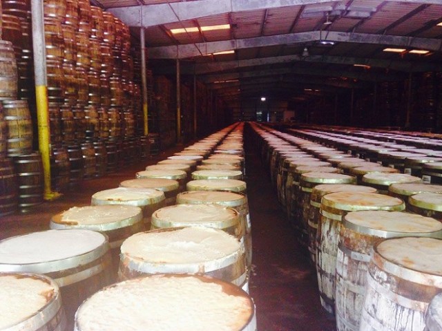 13719724_10157188789620788_8840805534924901459_o