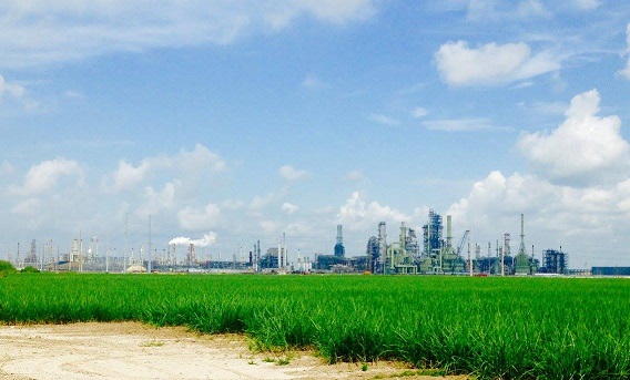 13767184_10157219885690788_1958942472551855809_o