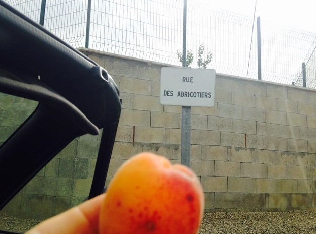 13770340_10157194933015788_3625801977747391159_n