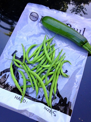 IMG201671621636962016