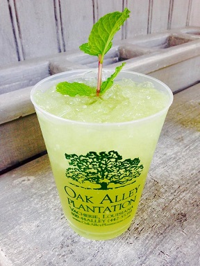 Mint_julep_oak_alley