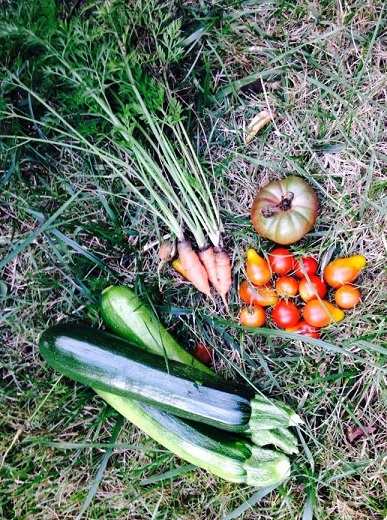 14390733_10157480381650788_1590147687193578722_n