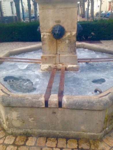 16114918_10158130492400788_1023901580026150151_n