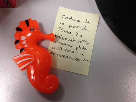 16299033_10158174376755788_7066858554671771109_n