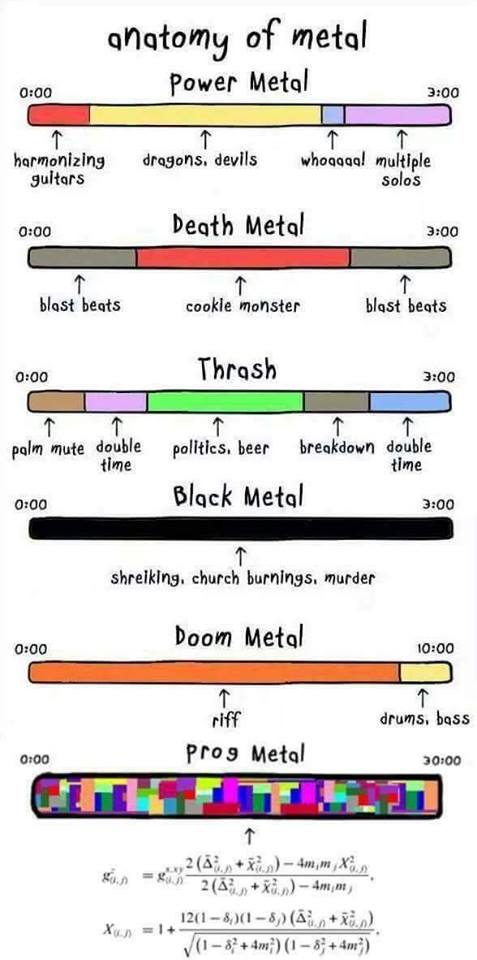 anatomy_metal