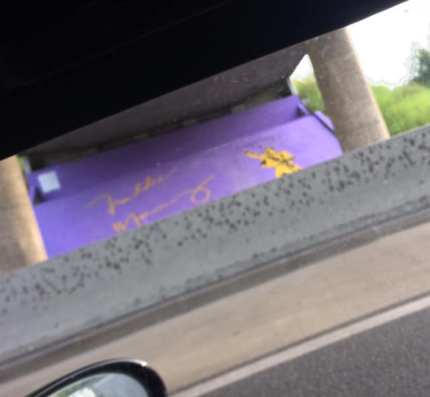 61512580_10161884483990788_6967431501034029056_n