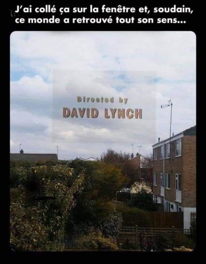 92965804_10158209867759099_8735865645003964416_n